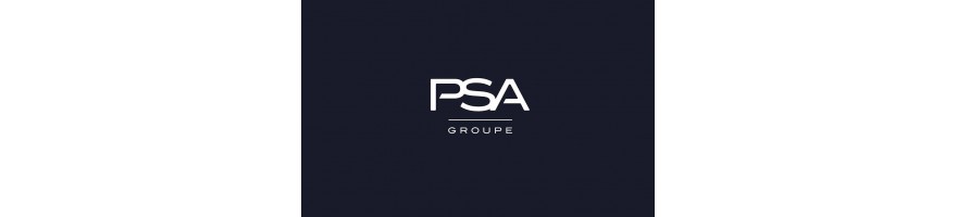 Détendeur, système à rampe commune Peugeot Citroën